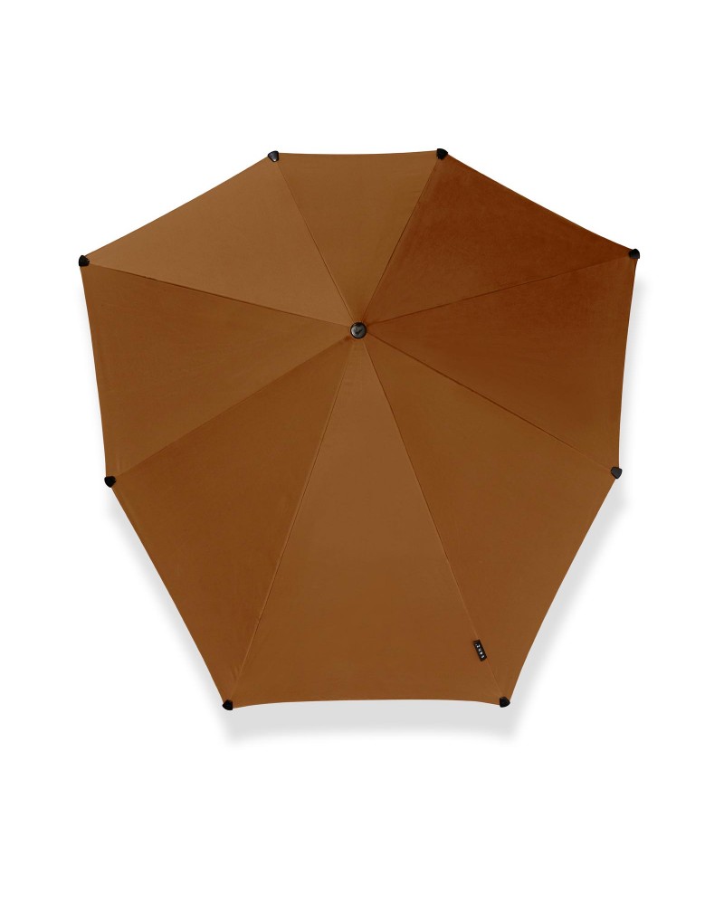 Pack 100 Bolsas Grandes (Para Paraguas Senc) — Azulejossola